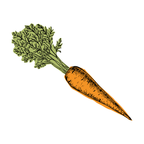 Carrot