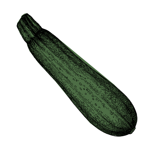 Courgette