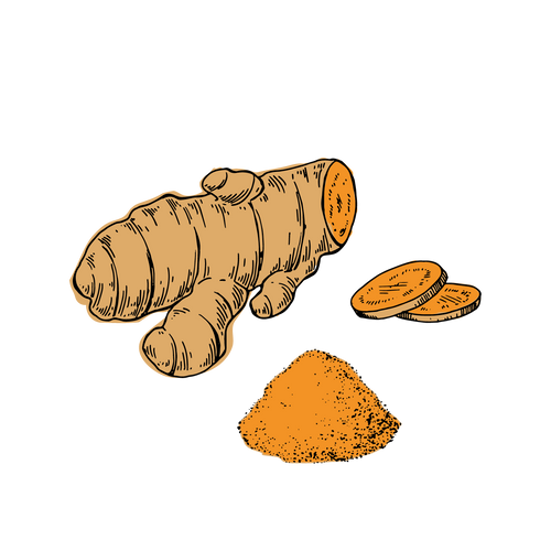 Curcuma