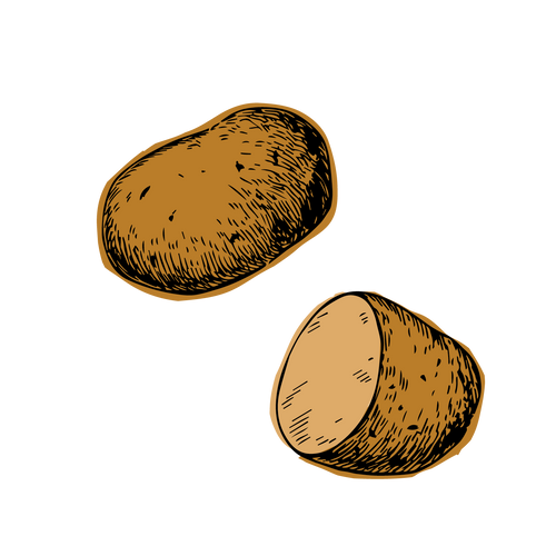Potato
