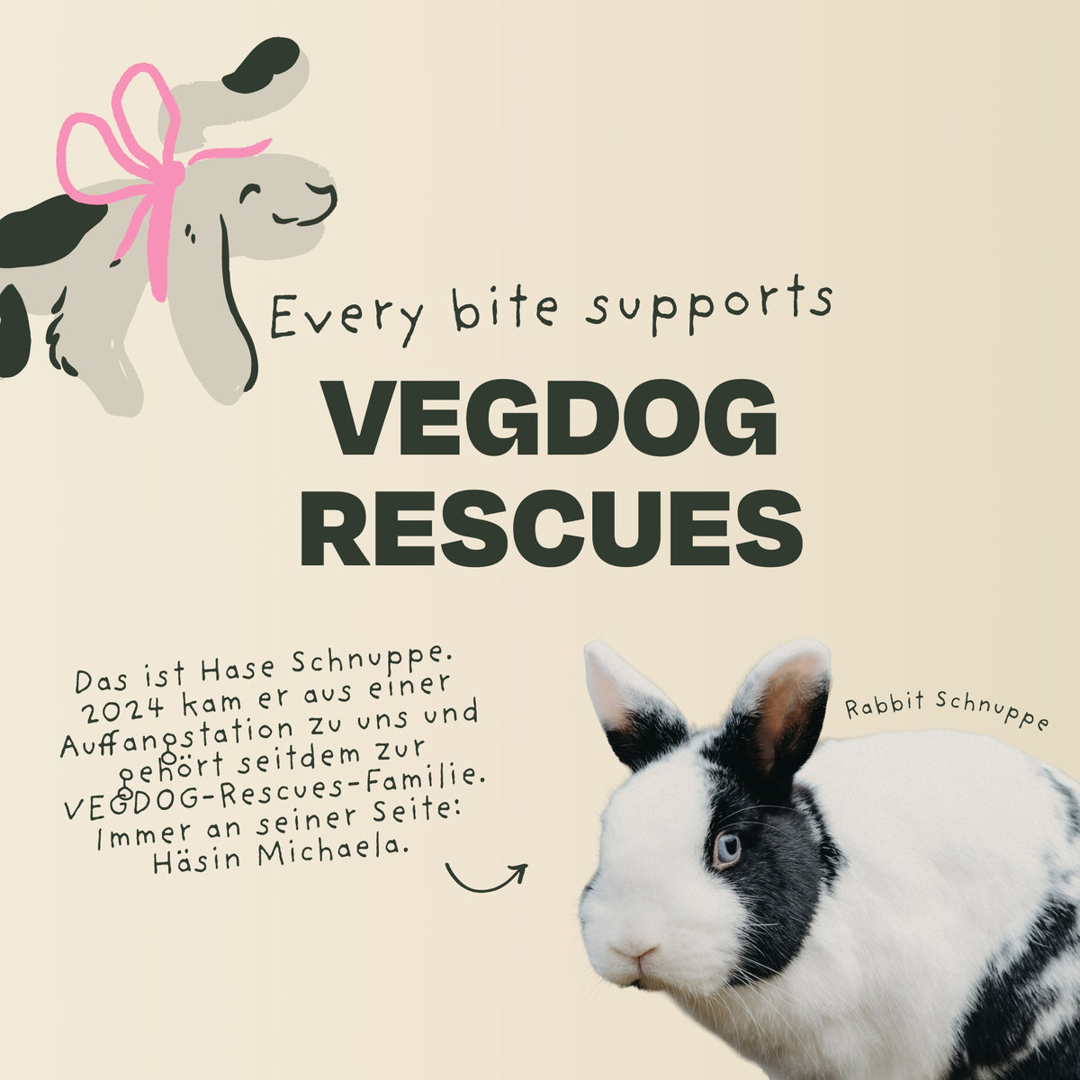 Calendario dell'Avvento VEGDOG 2026 piccolo