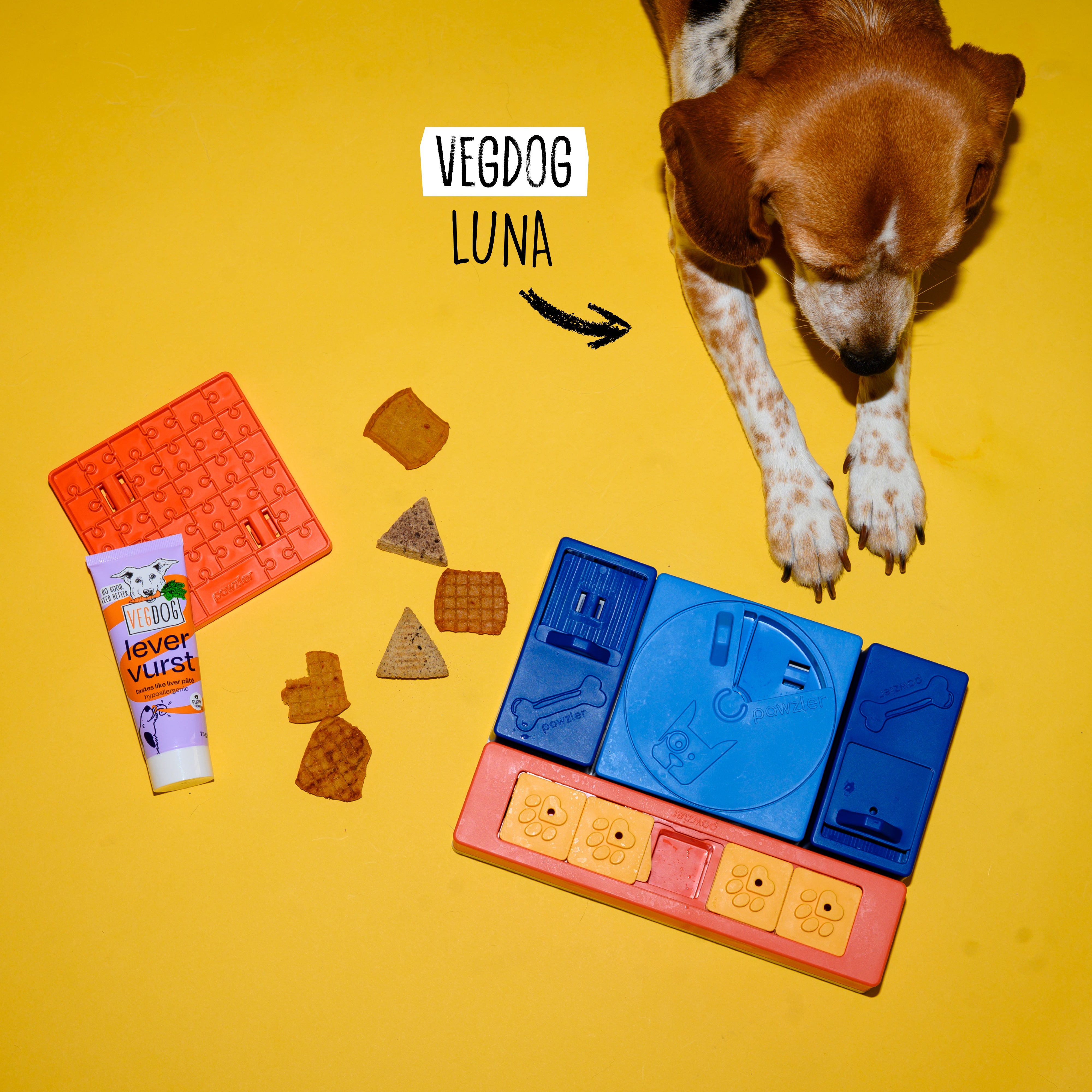 Back to School Bundle
