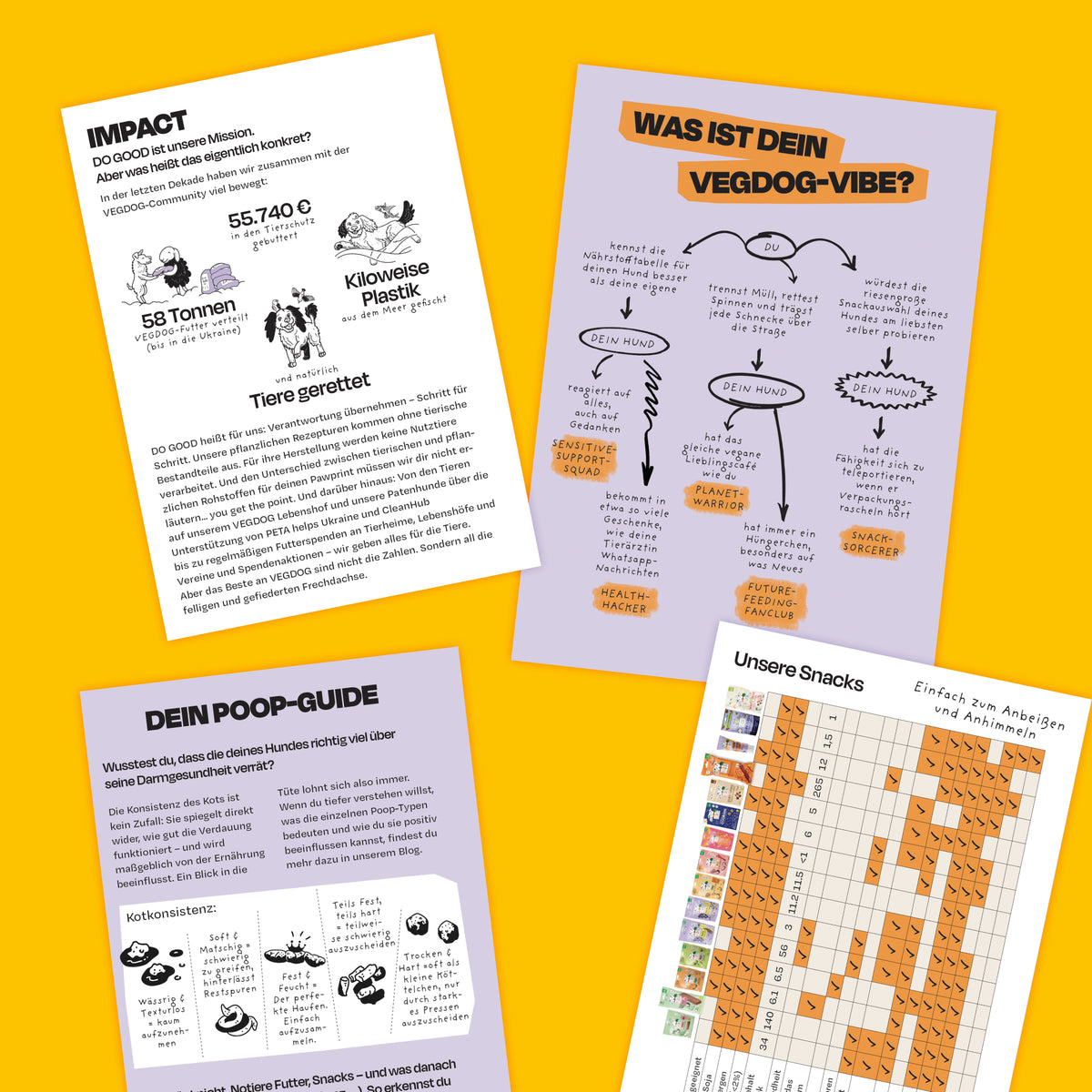 Transition Booklet