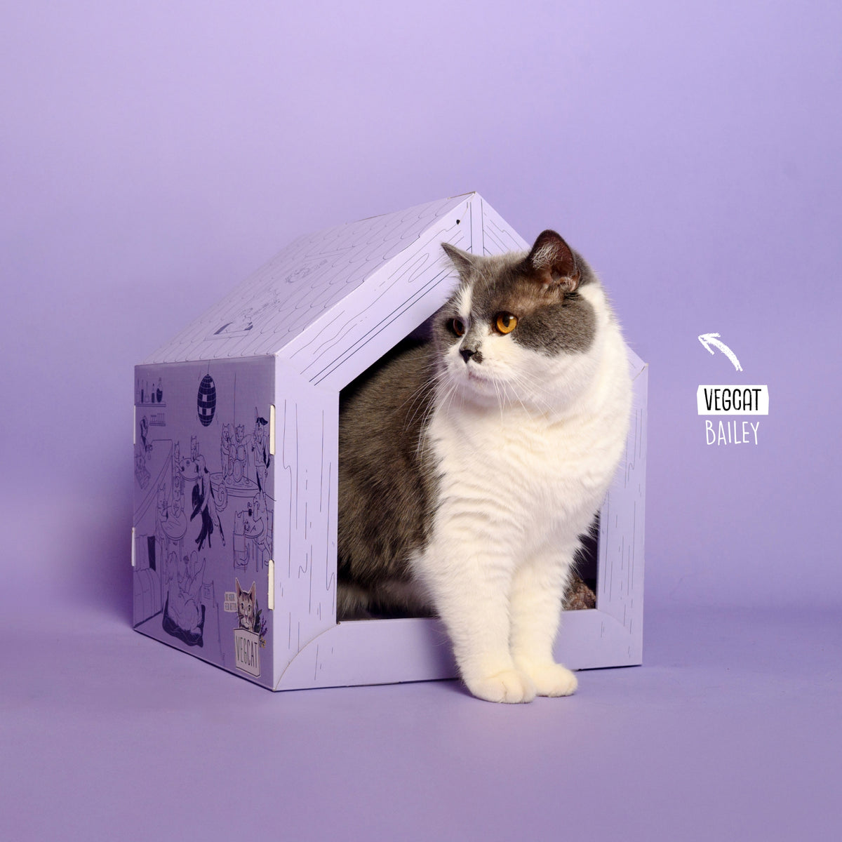 VEGCAT Clubhouse & All Bites