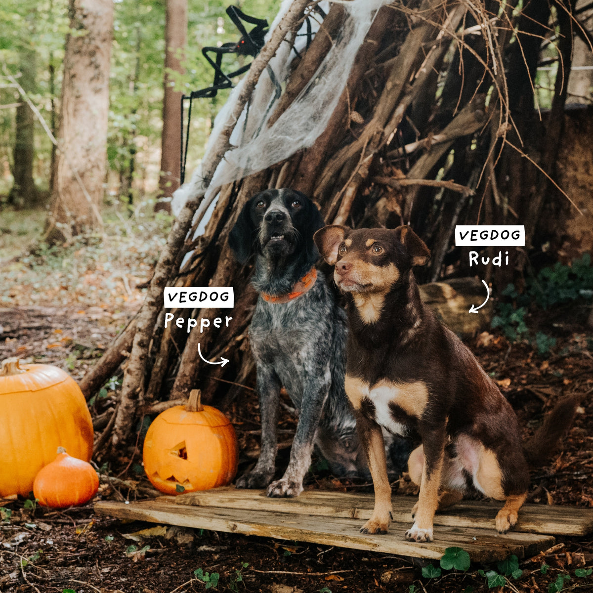 Scary Good Snacks