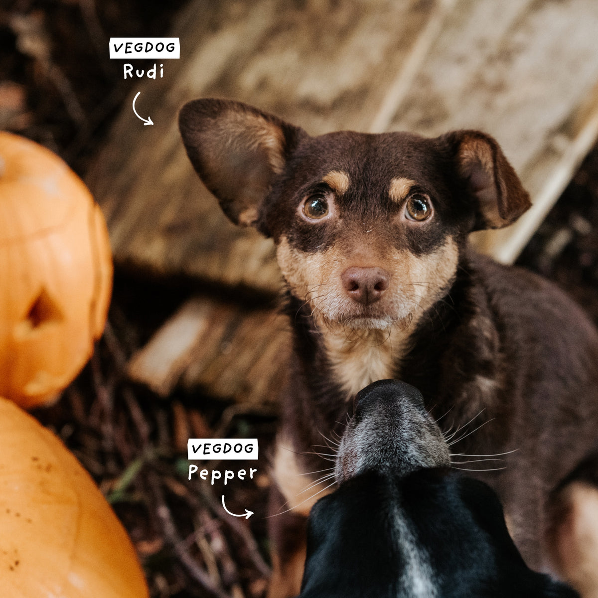 Scary Good Snacks