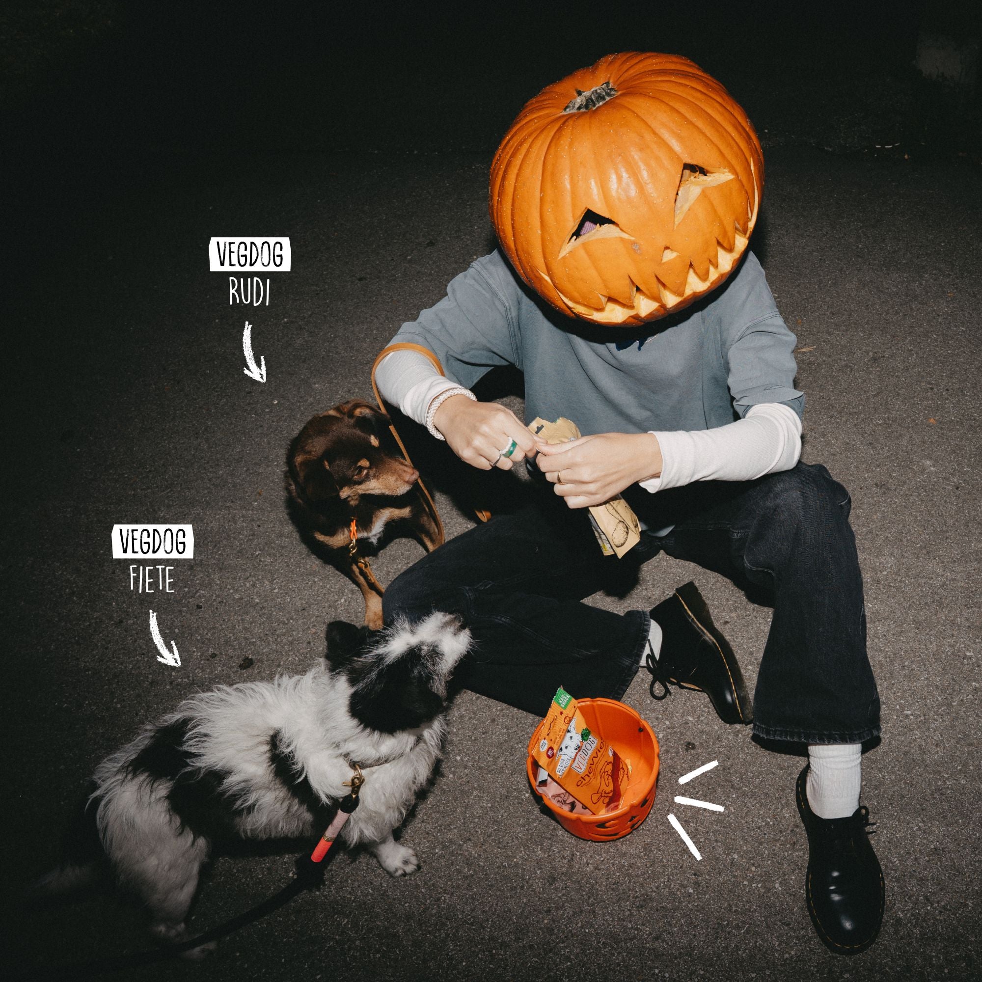Smokey Halloween Bundle