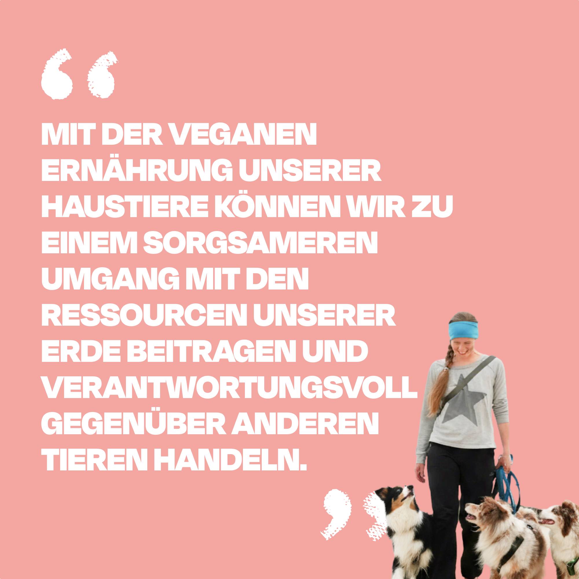 JANEY'S STARTER BOX 🐾