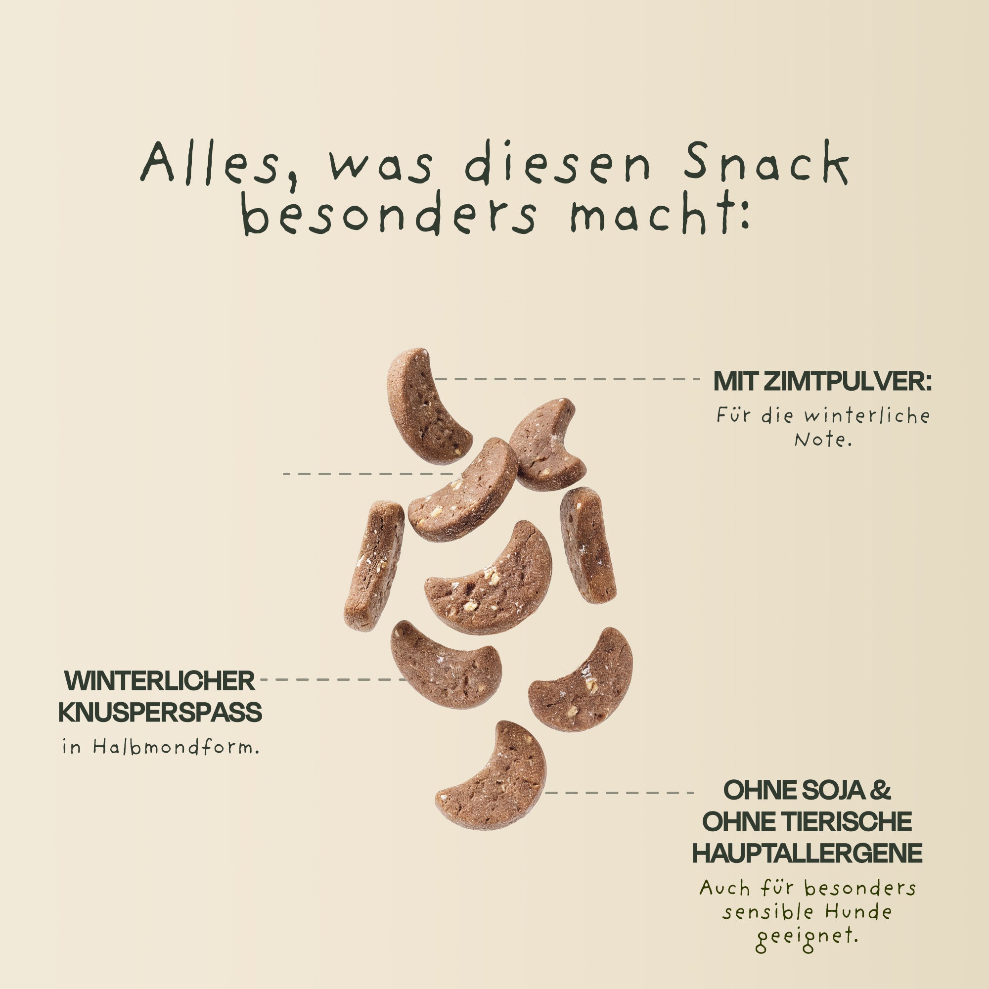 Winter Cookies